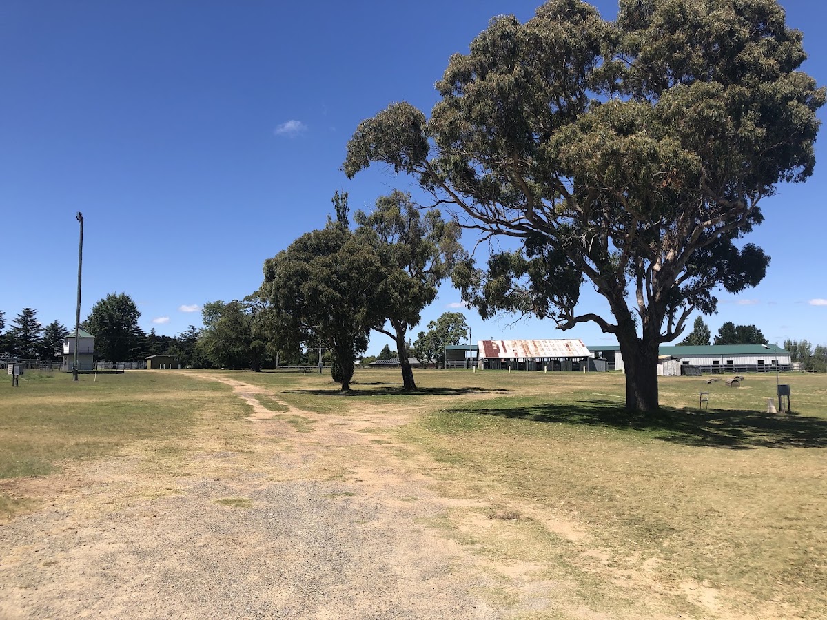 Uralla Showground Camping