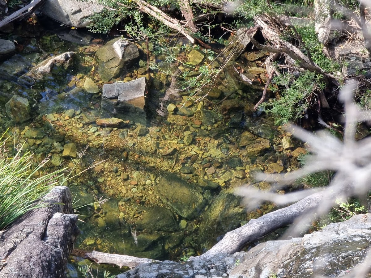 Middle Kobble Creek Waterfall