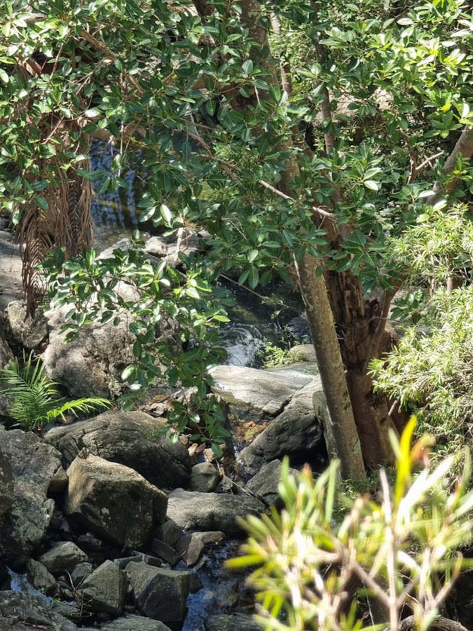 Middle Kobble Creek Waterfall