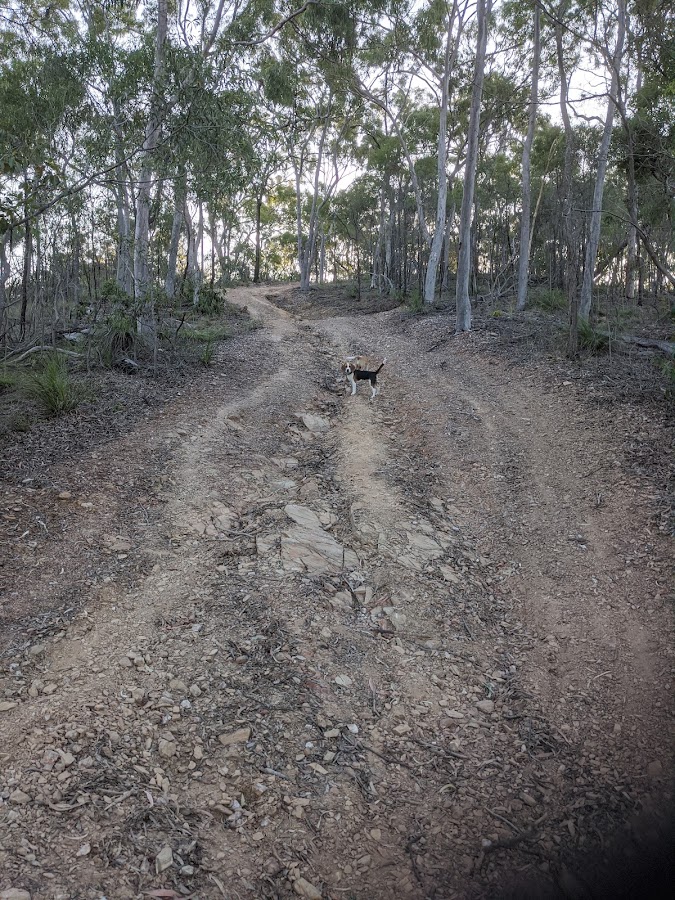 Boyne Island Conservation Park