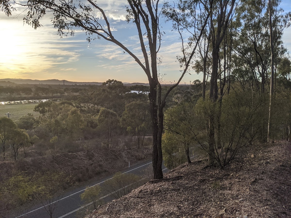 Boyne Island Conservation Park