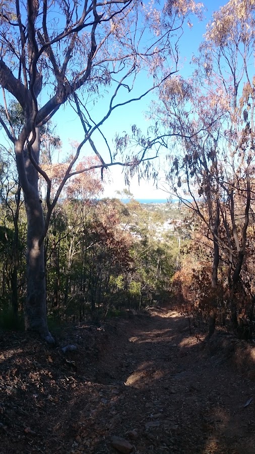 Boyne Island Conservation Park