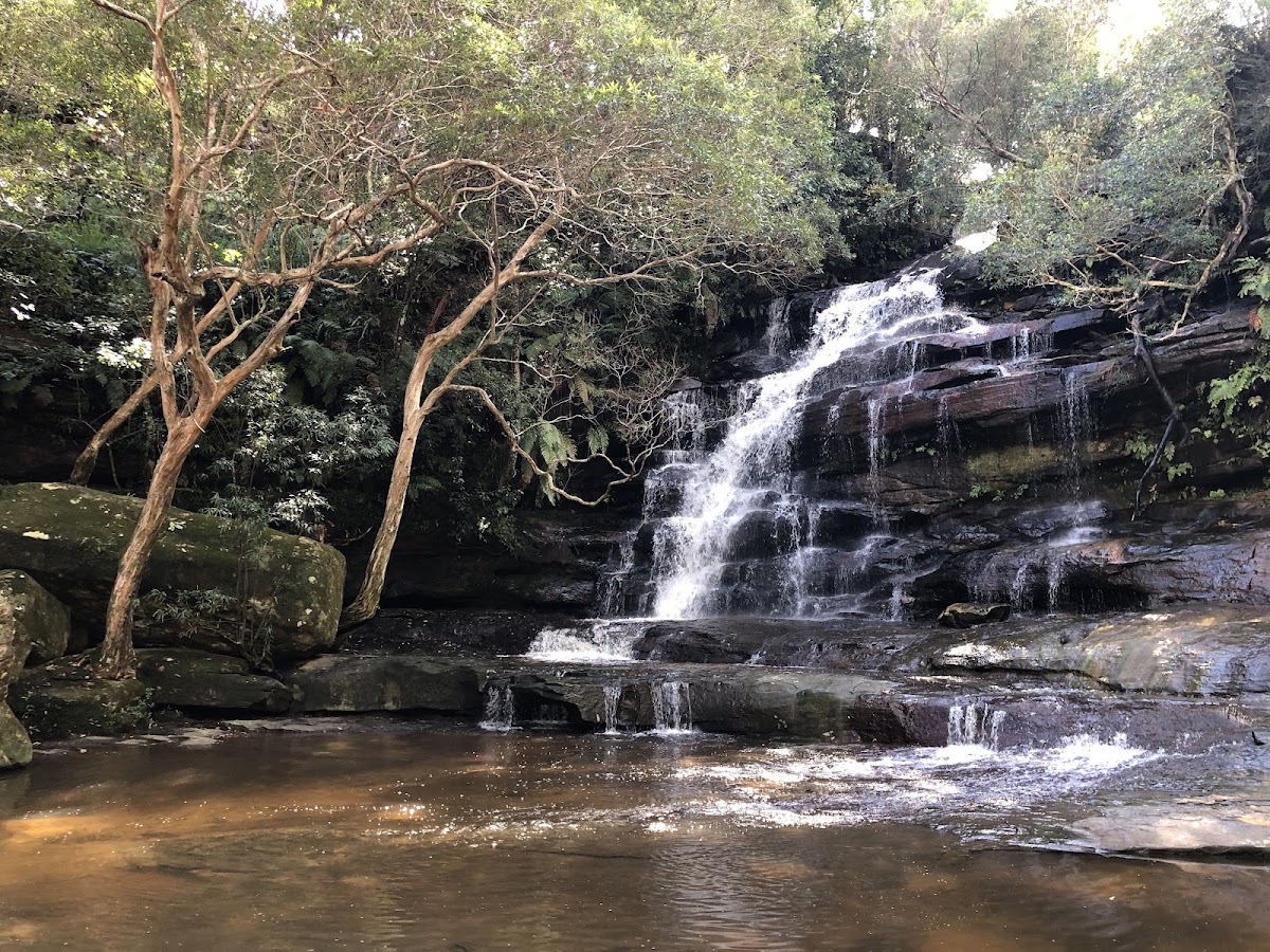 Brisbane Water National Park