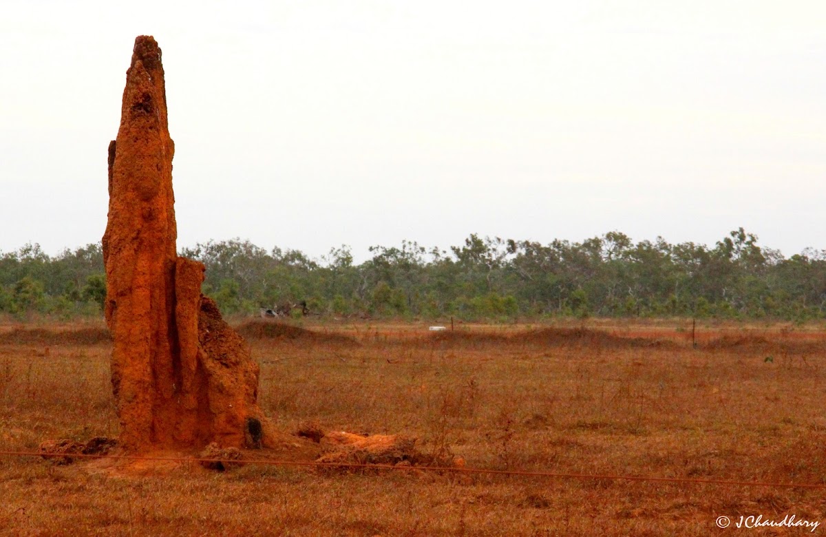 Batavia National Park (Cape York Peninsula Aboriginal Land)