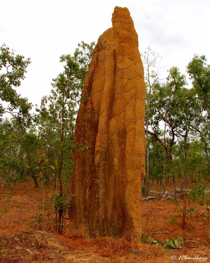 Batavia National Park (Cape York Peninsula Aboriginal Land)