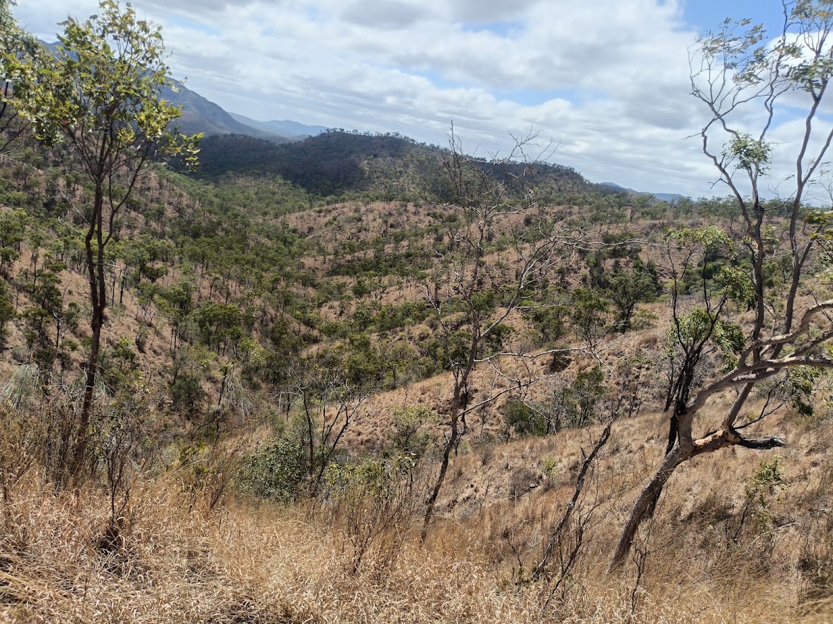 The Doug Haigh Lookout