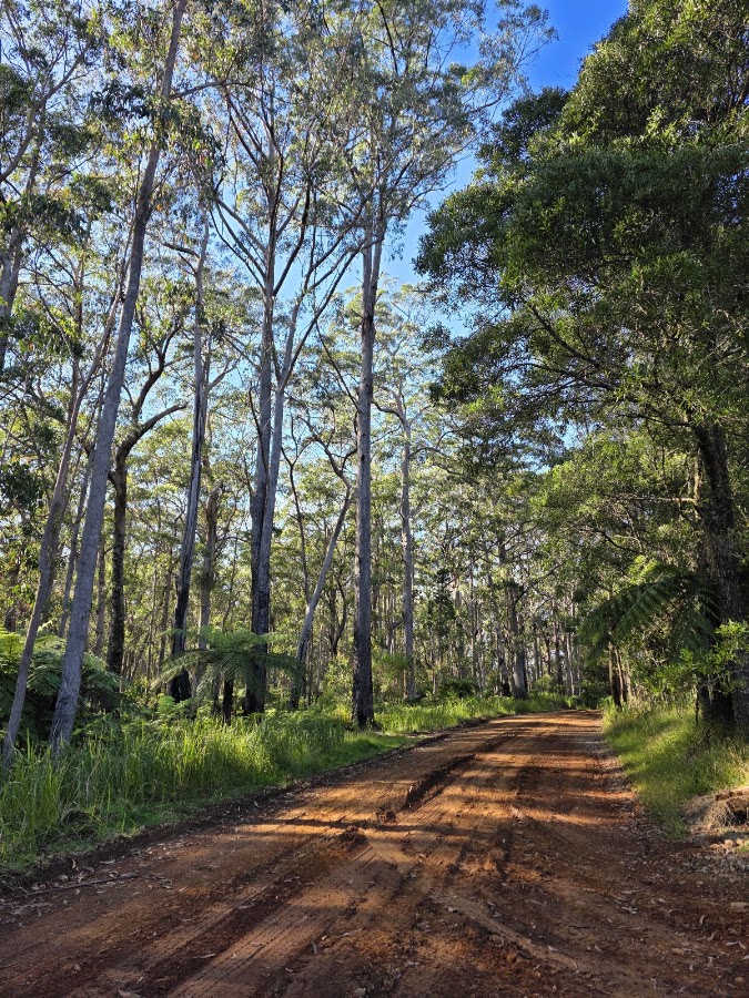 Carrai National Park
