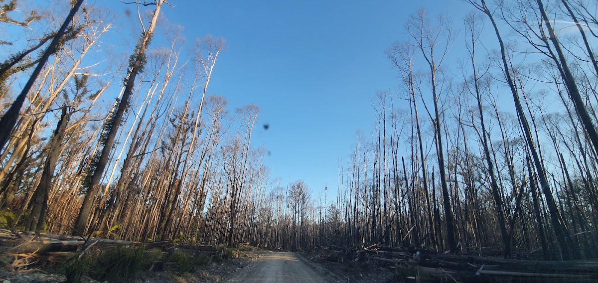 Carrai National Park