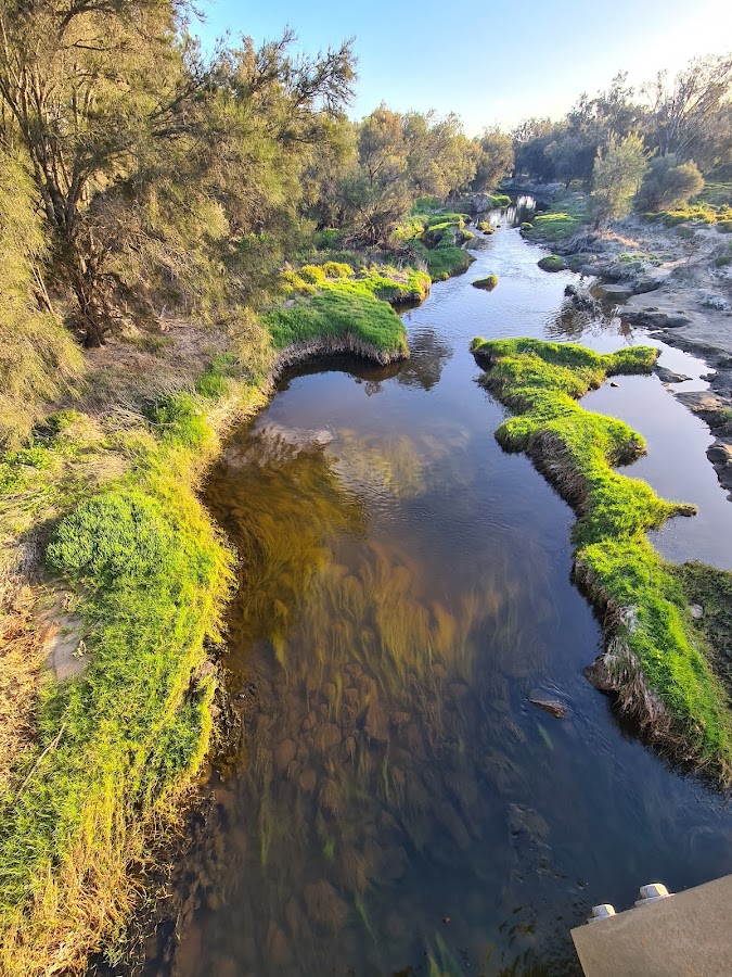 Gwambygine Park