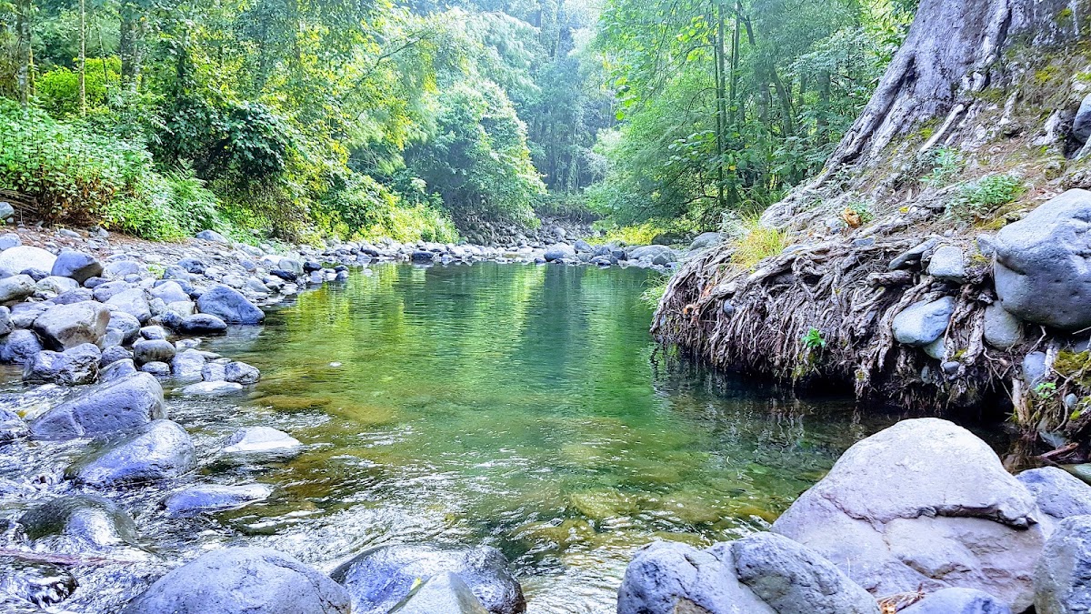 White Rock Camping Area