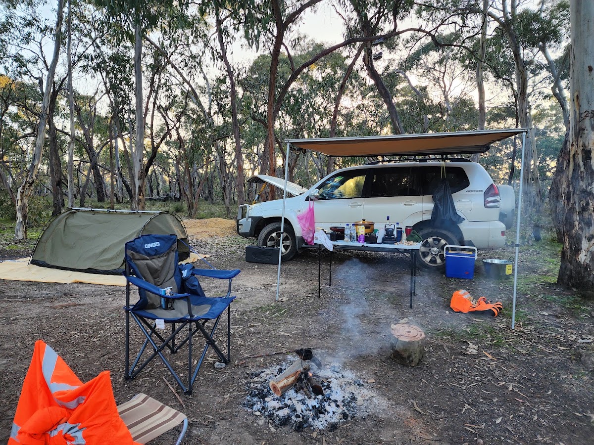 Beear State Forest