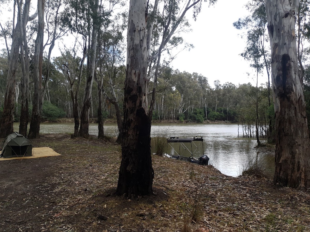 Barmah National Park