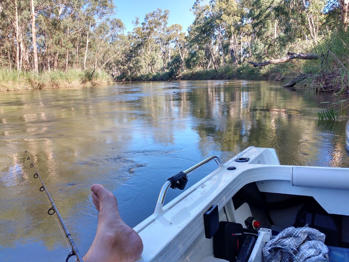 Barmah National Park