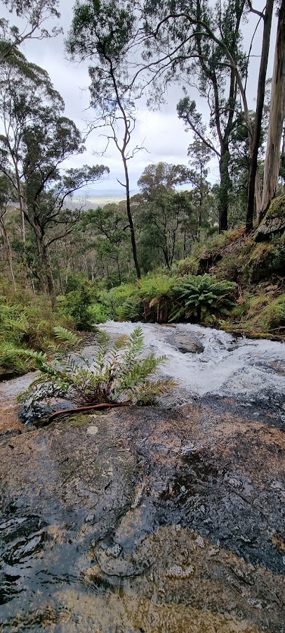 Fern Tree Camping Area