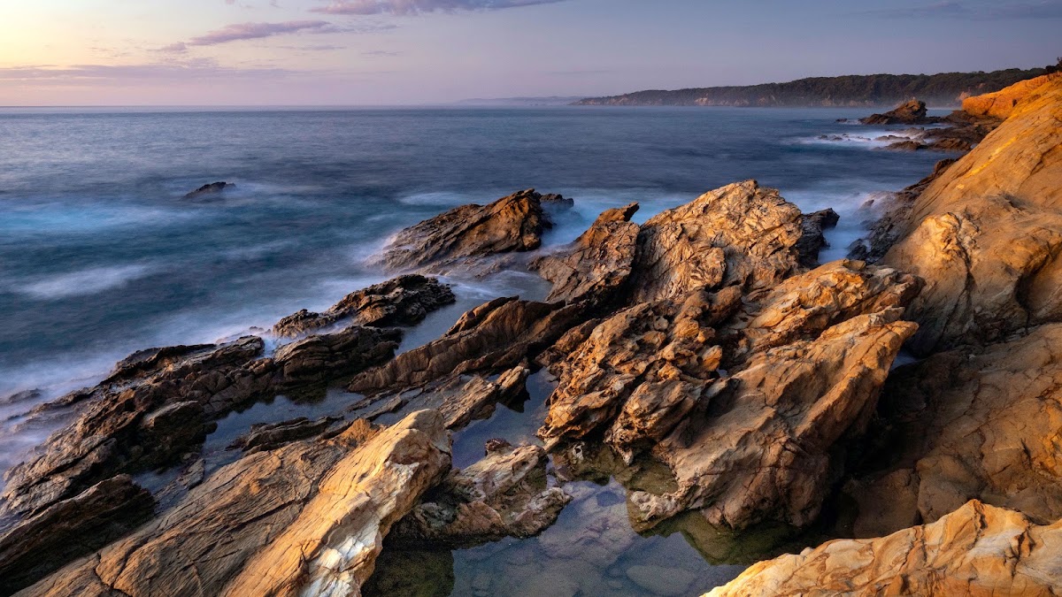 Python Cove
