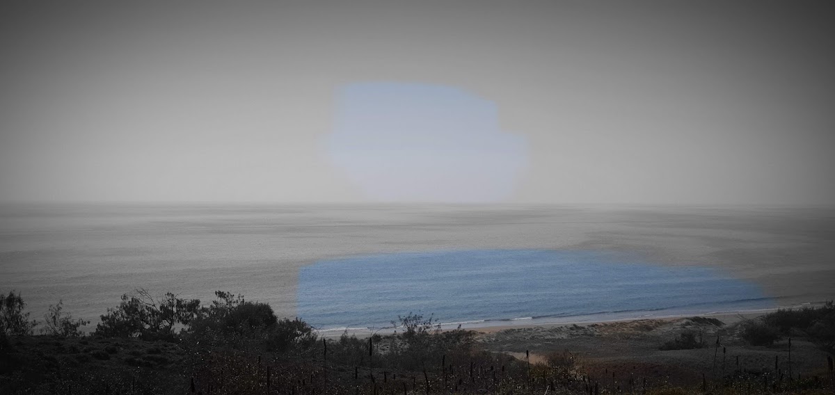 Southend Conservation Park