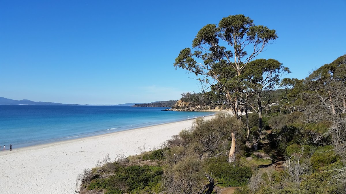 Spring Beach