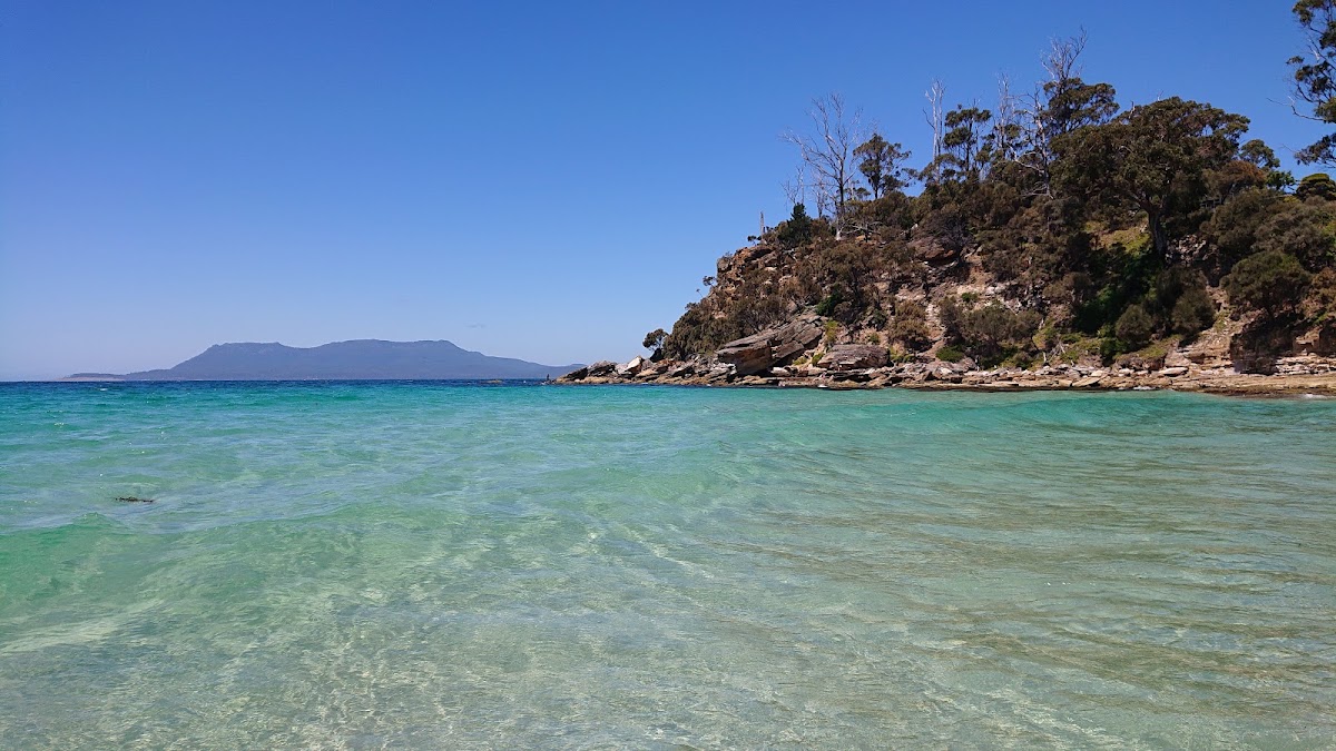 Spring Beach