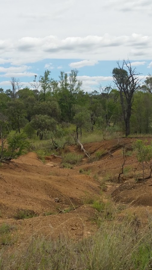 Taunton National Park (Scientific)