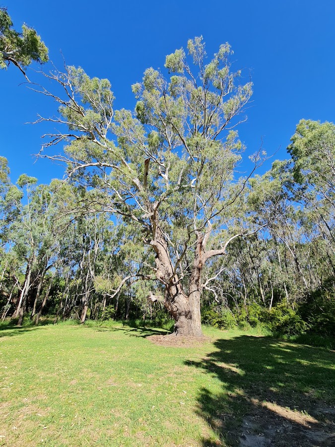 Howlong Memorial Park