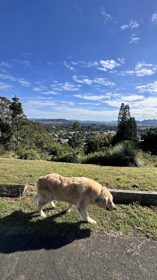 Kyogle Lookout