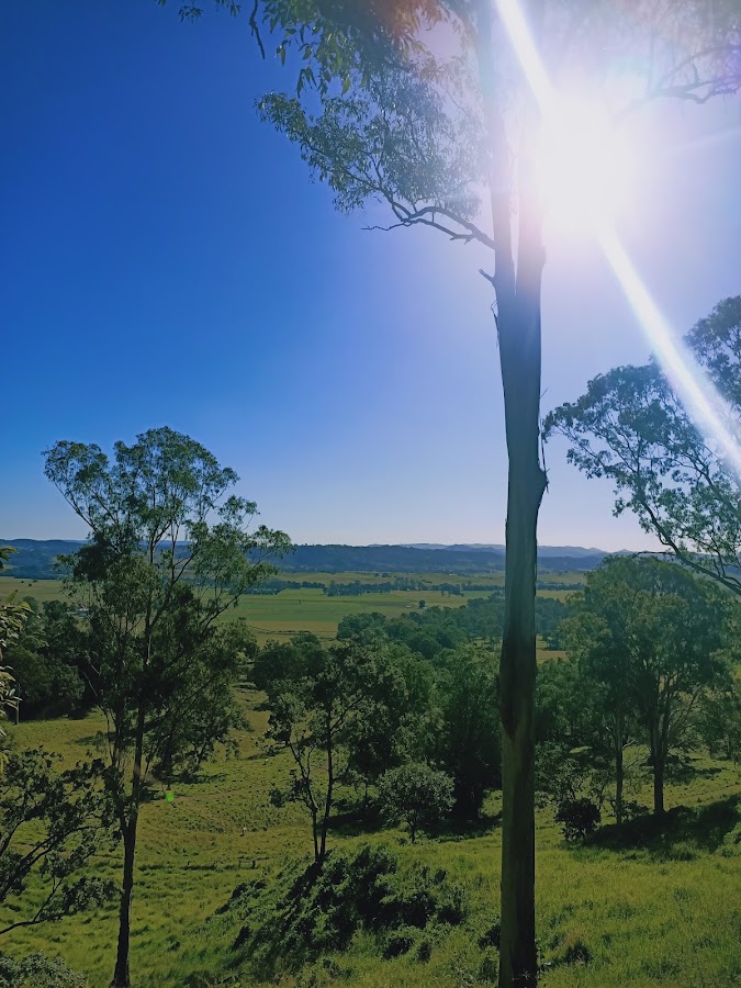 Kyogle Lookout