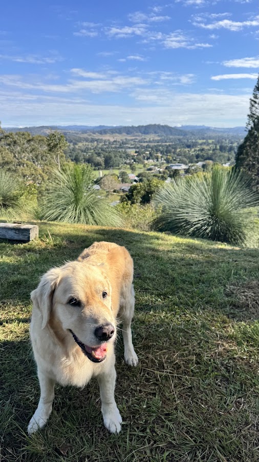 Kyogle Lookout