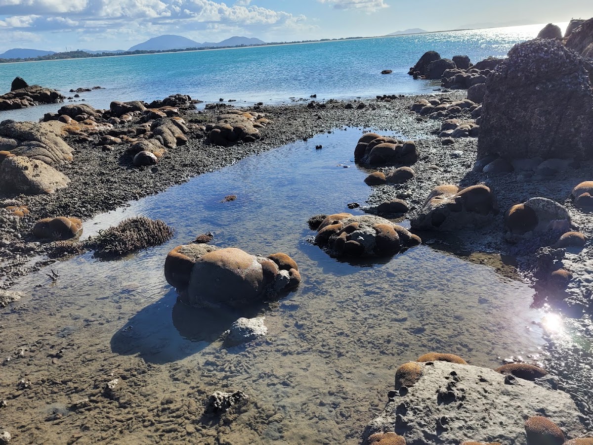 Coral Bay