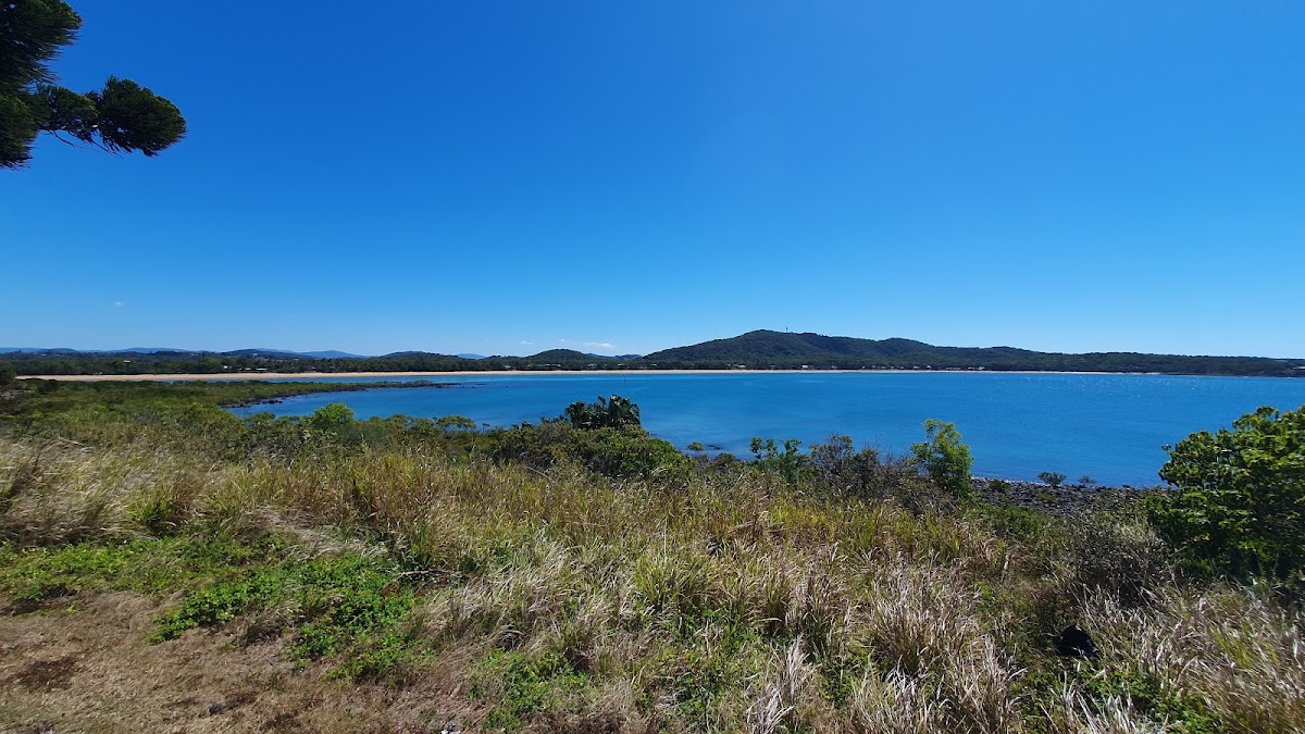 Charles Barton Lookout