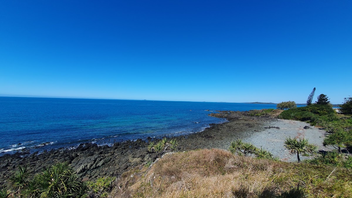 Charles Barton Lookout