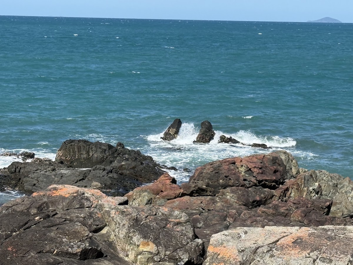 Charles Barton Lookout