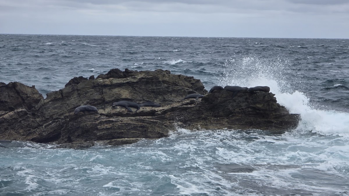 Bunga Beach