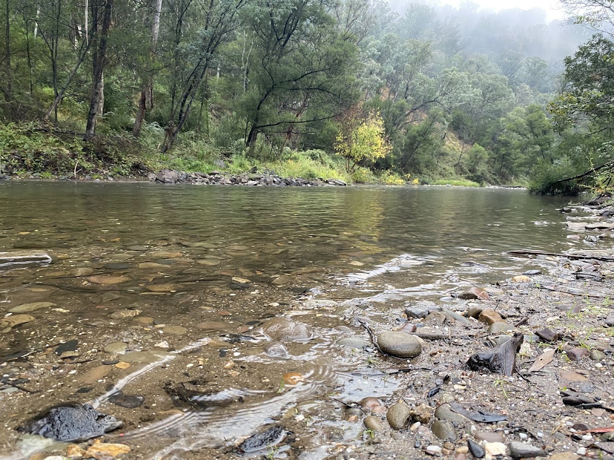 Italian Flat Campground