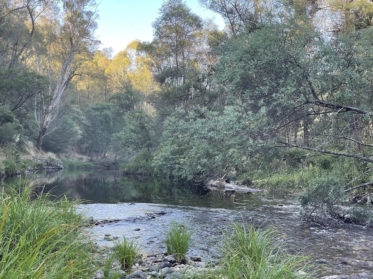 Italian Flat Campground