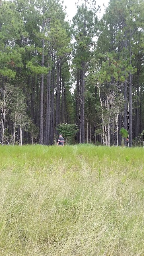 Poona National Park