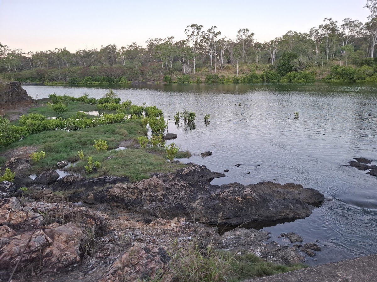 Calliope River Rest Area