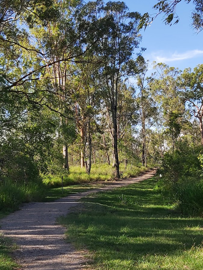 Indooroopilly Island Conservation Park