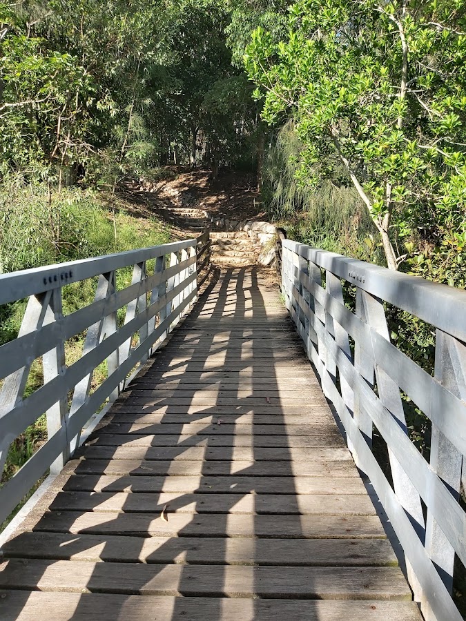 Indooroopilly Island Conservation Park