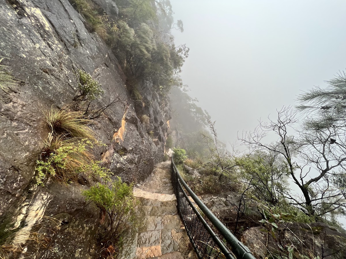 Pippens Falls