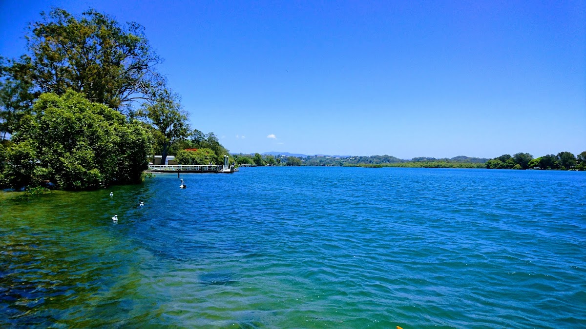 The Palm Village Tweed Heads South