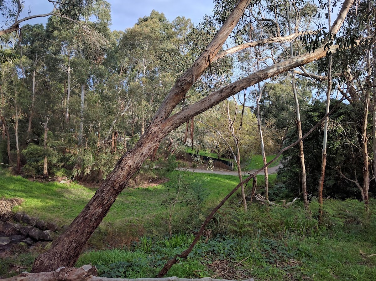 Victoria Park Campground