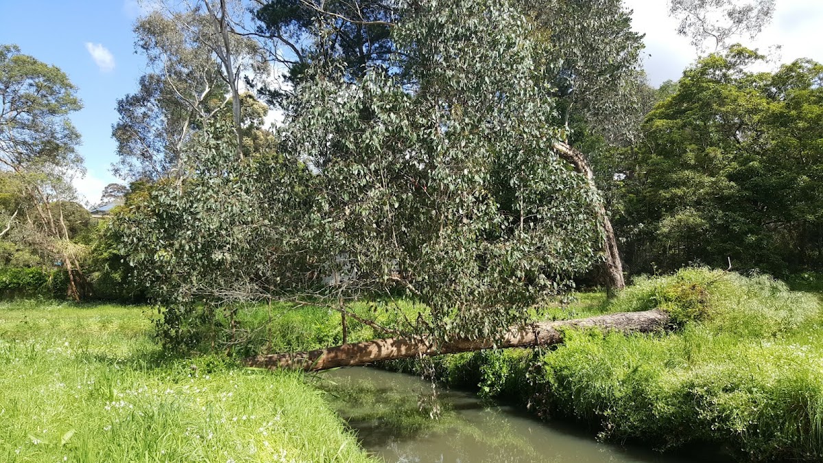 Victoria Park Campground