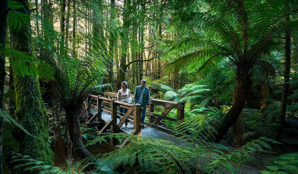 Yarra Ranges National Park
