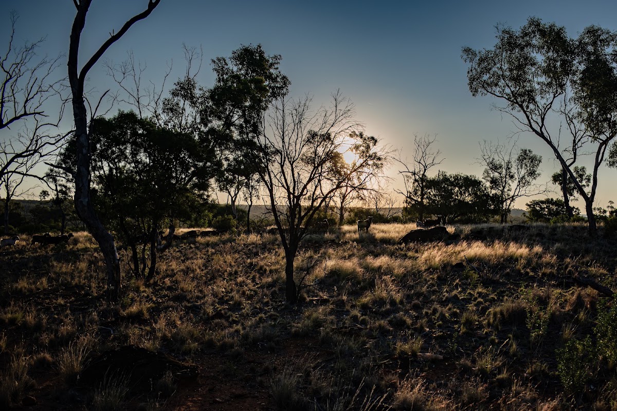 Mount Grenfell National Park
