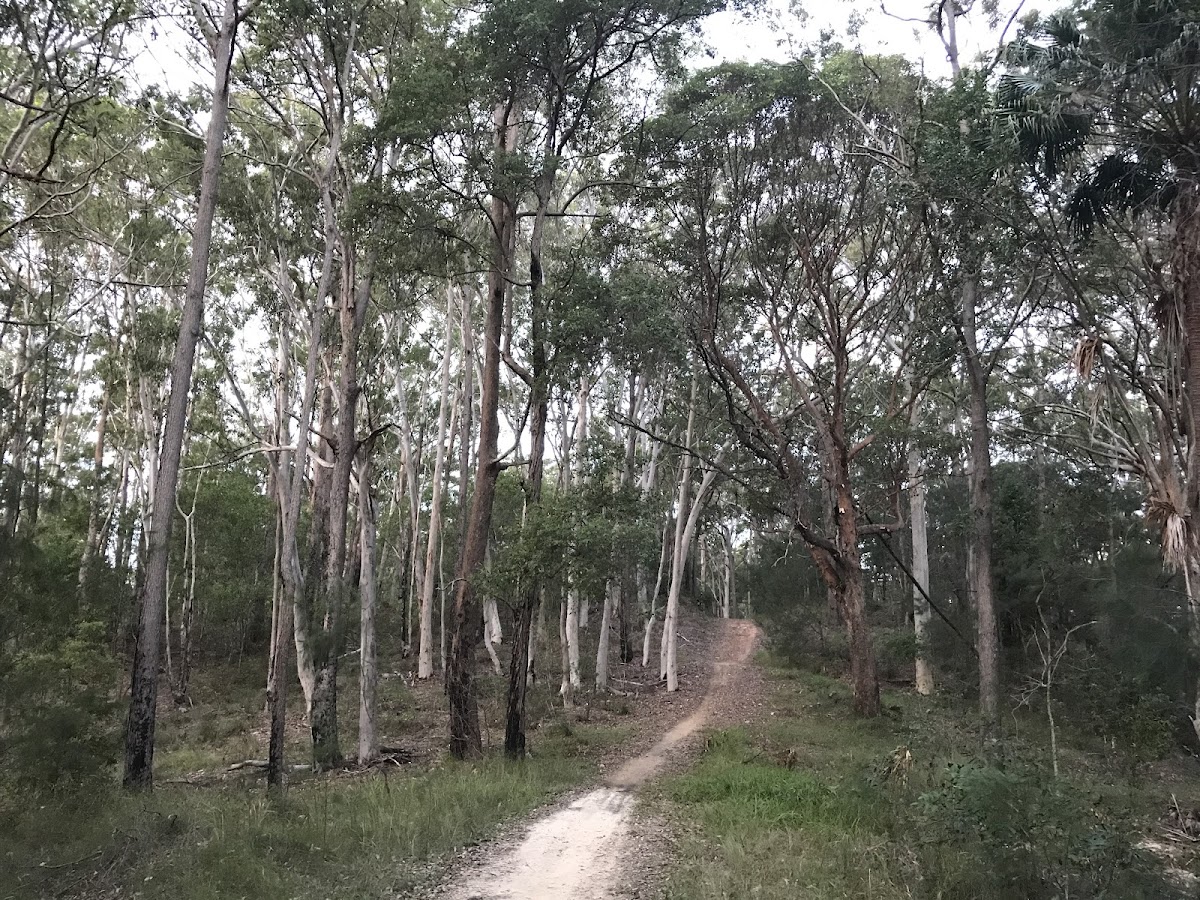 Tewantin National Park