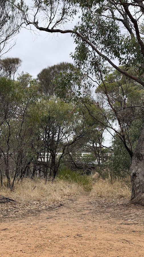 Pallinup River Rest Area