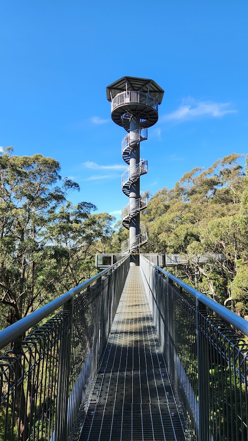 Knights Tower