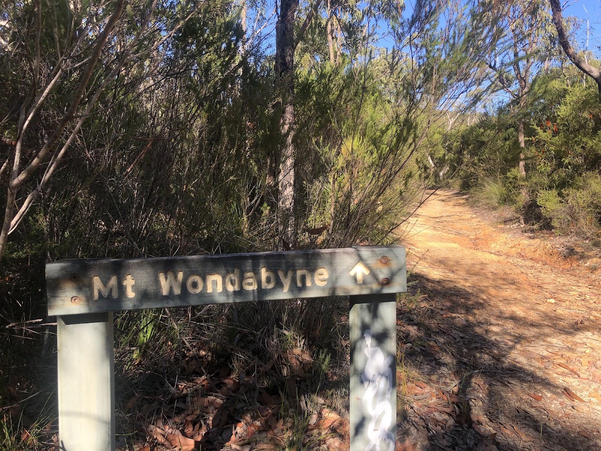 Mt Wondabyne Campsite