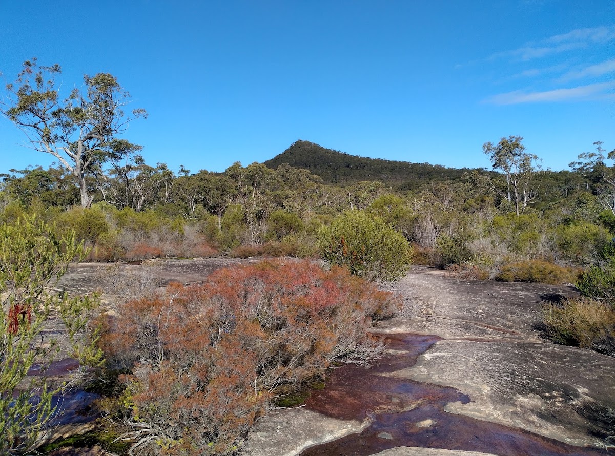 Mt Wondabyne Campsite