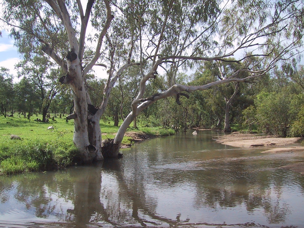 Einasleigh River